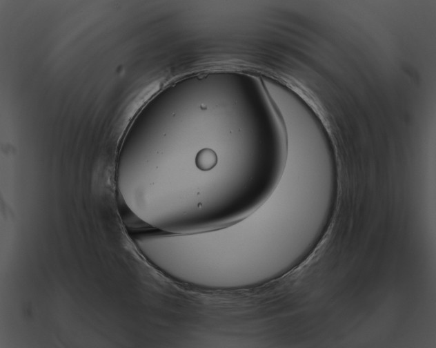 X0000090711481200708031423