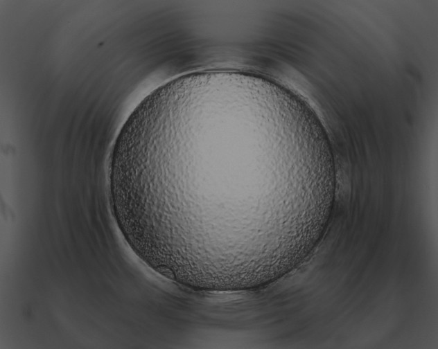 X0000090711483200708031423