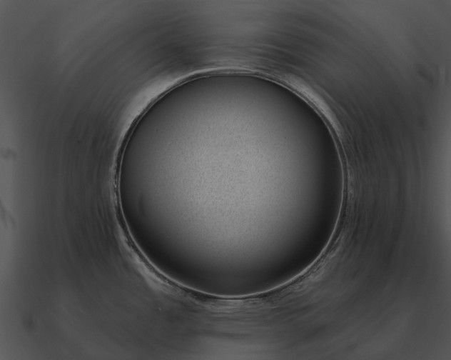 X0000090711485200708031423