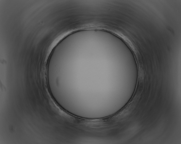 X0000090711486200708031423