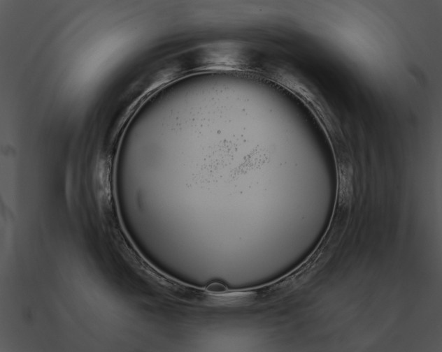 X0000090711487200708031423