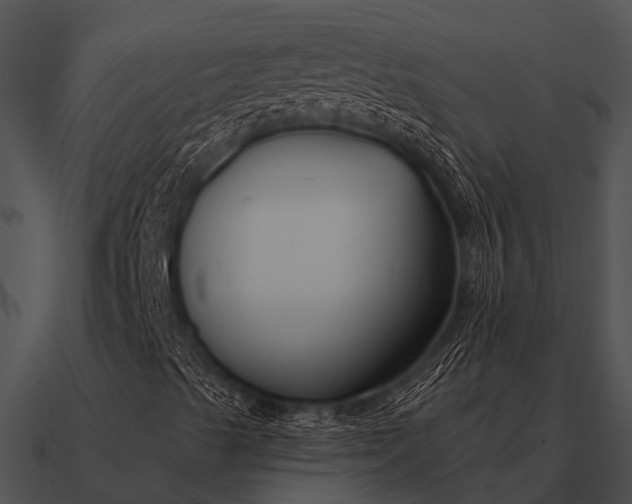 X0000090711489200708031422