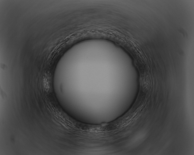 X0000090711490200708031422