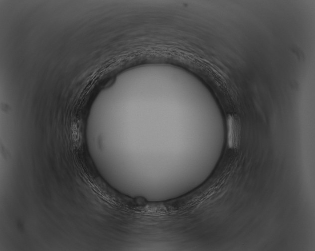 X0000090711491200708031422