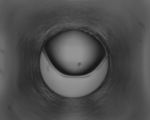 X0000090711492200708031422