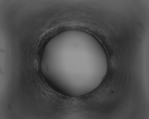 X0000090711493200708031422