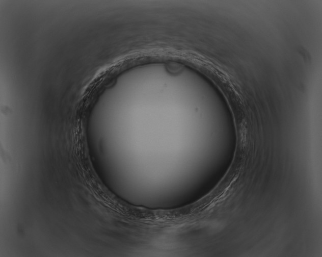 X0000090711494200708031422