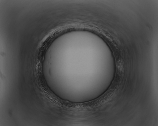 X0000090711495200708031423