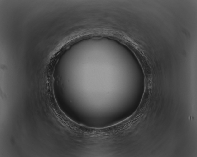 X0000090711496200708031423