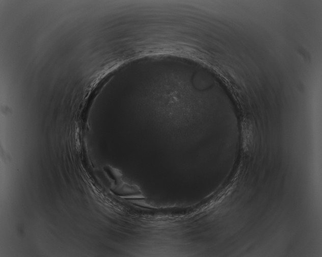 X0000090711497200708031423