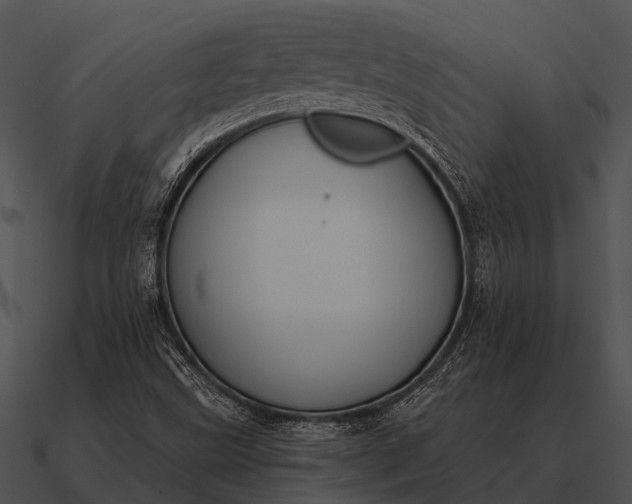 X0000090711499200708031423