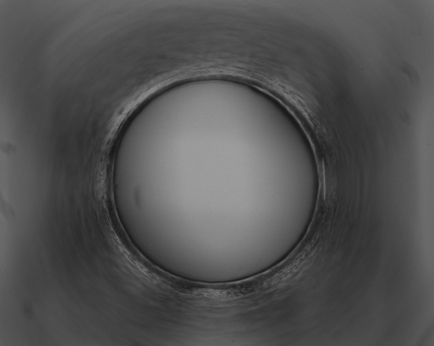 X0000090711500200708031423