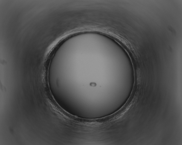 X0000090711502200708031423