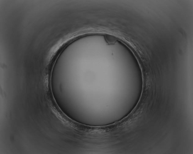 X0000090711503200708031423