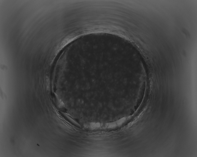 X0000090711505200708031423