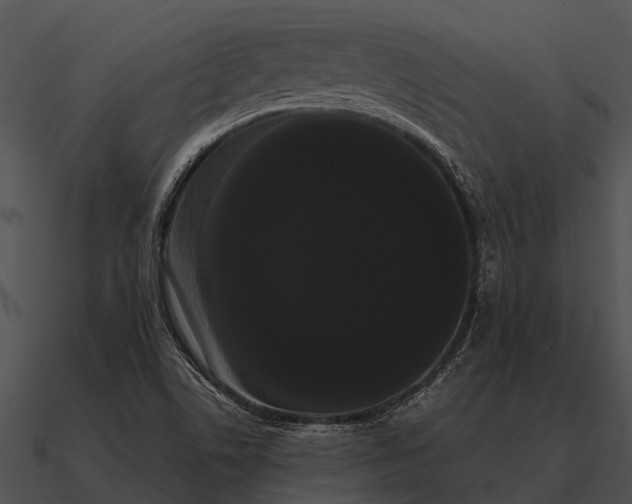 X0000090711506200708031423