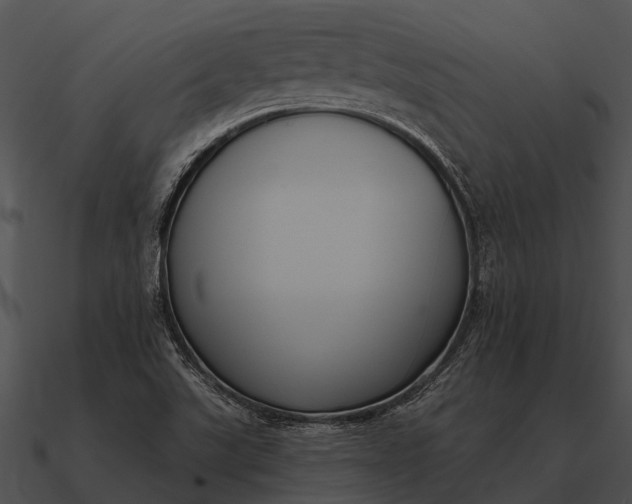 X0000090711507200708031423