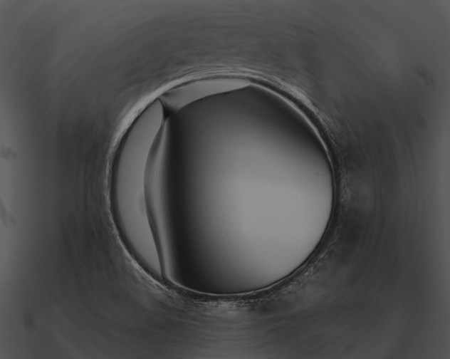 X0000090711508200708031423