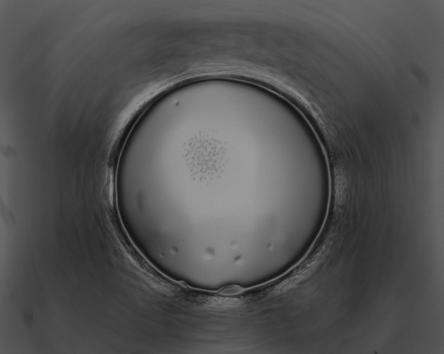 X0000090711509200708031423