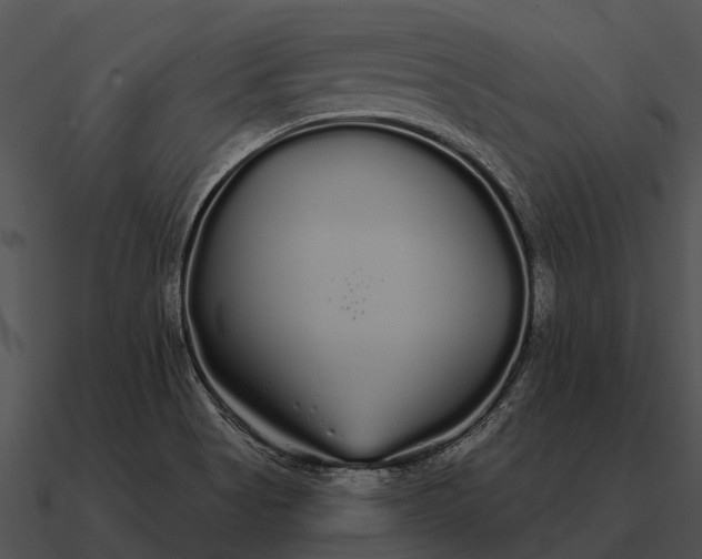 X0000090711513200708031423