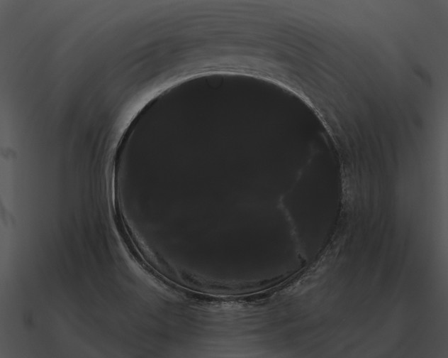 X0000090711515200708031423