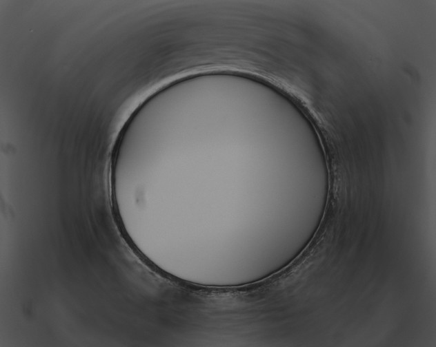 X0000090711516200708031423