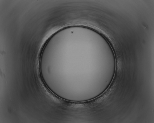 X0000090711517200708031423