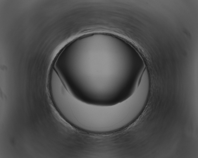 X0000090711518200708031423