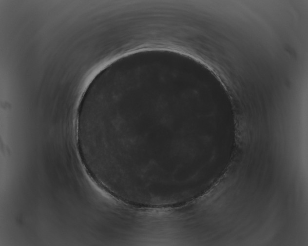 X0000090711519200708031423