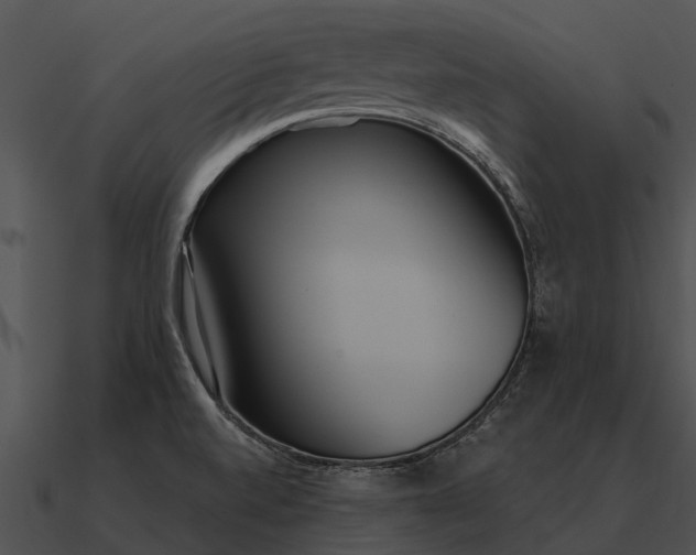 X0000090711520200708031423