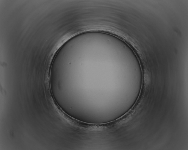 X0000090711521200708031423