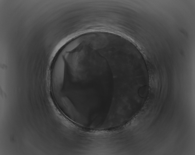 X0000090711522200708031423