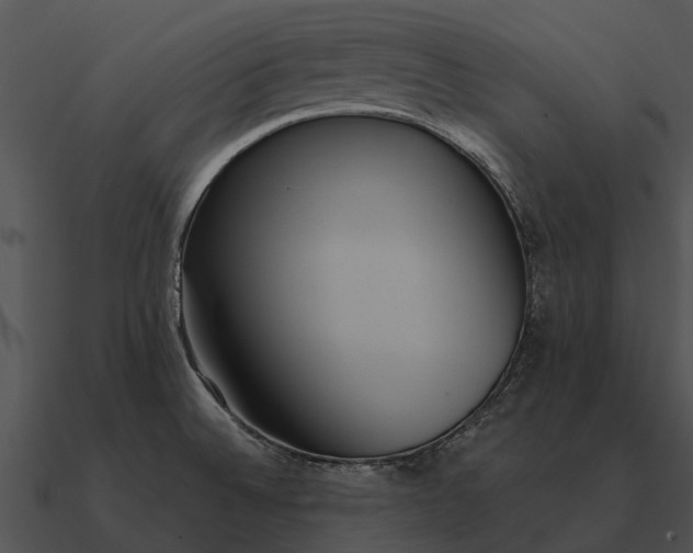 X0000090711524200708031423