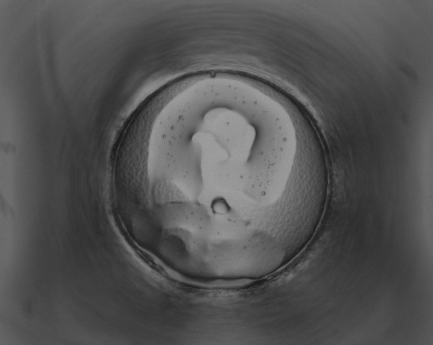 X0000090711525200708031423