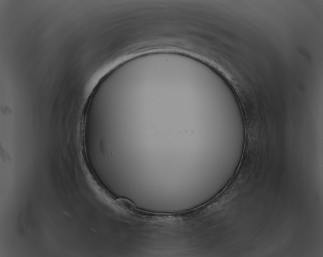 X0000090711526200708031423