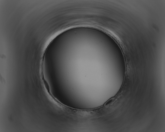 X0000090711528200708031423