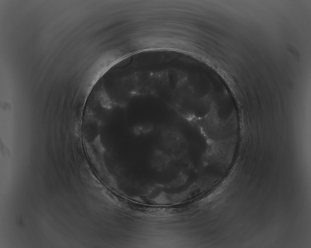 X0000090711529200708031423