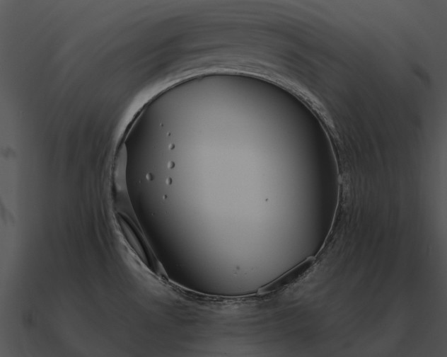 X0000090711530200708031423