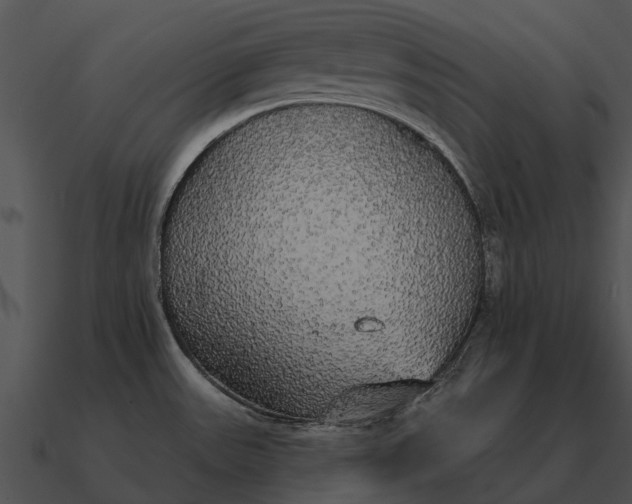 X0000090711531200708031423