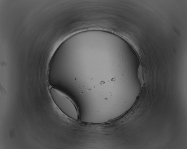 X0000090711532200708031423