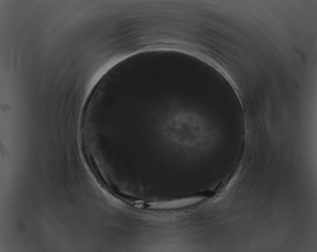 X0000090711533200708031423