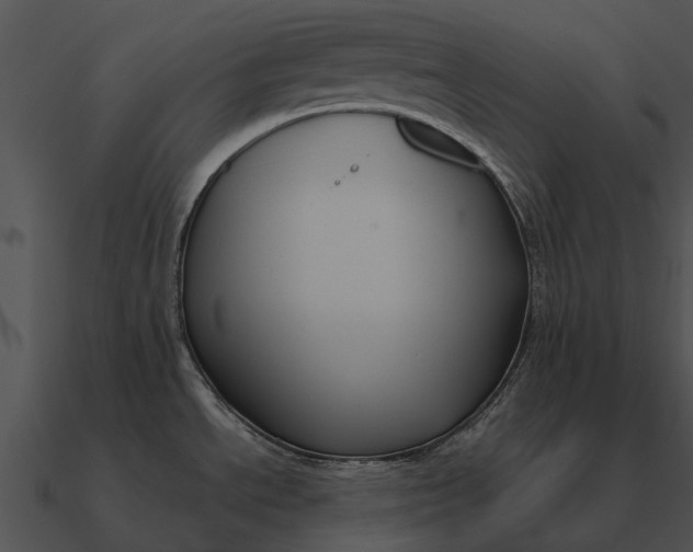 X0000090711534200708031423