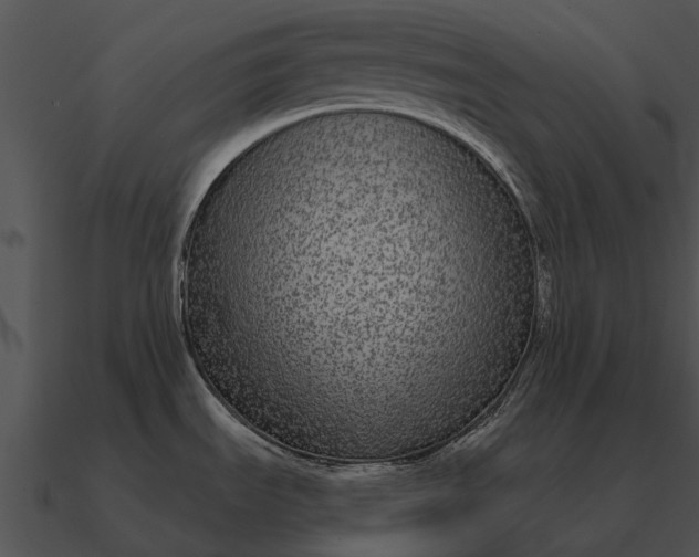 X0000090711535200708031423