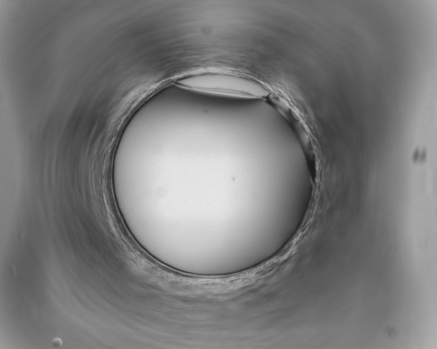 X0000090710001200708101515