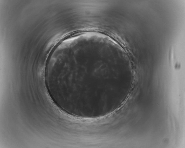 X0000090710002200708101515