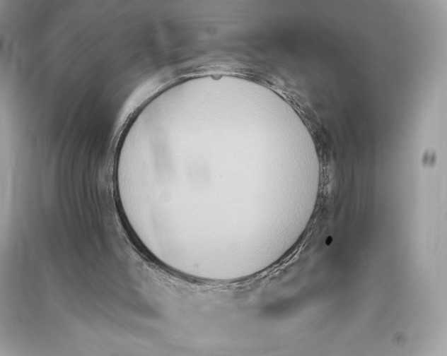 X0000090710004200708101515