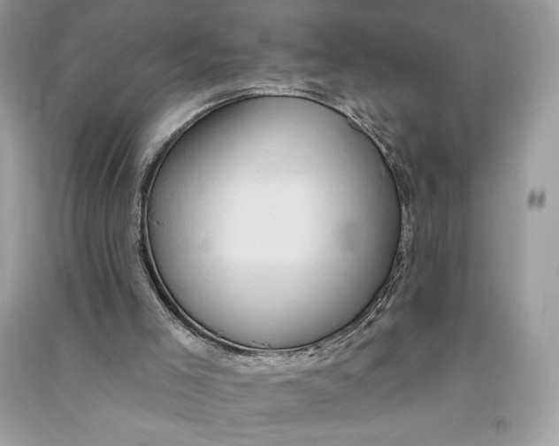 X0000090710005200708101515