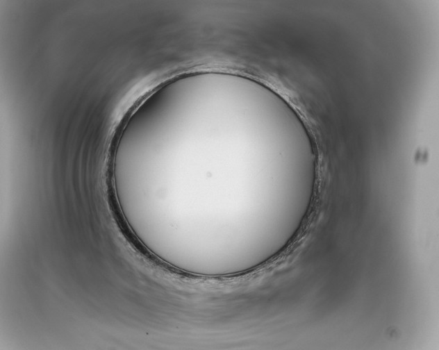 X0000090710007200708101515