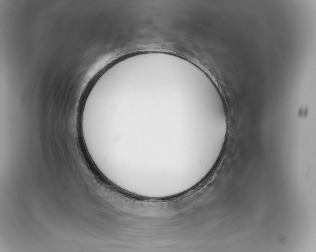 X0000090710008200708101515