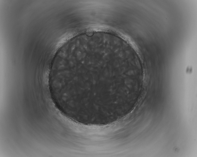 X0000090710010200708101515